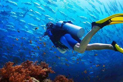 Snorkeling in Koh Chang Snorkeling in Koh Chang